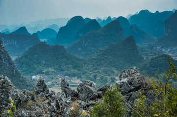 规模猪场饲养管理程序