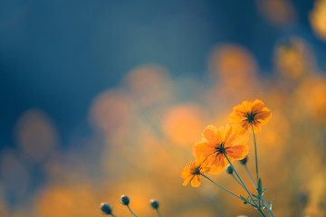 陕西省咸阳市三原县城关镇文峰大街南郊中学圆通快递可以到吗