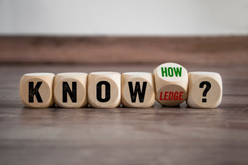 刚装修好的房子里放植物能不能吸收甲醛？