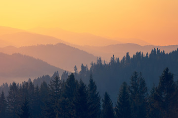 房屋朝向怎么确定_1