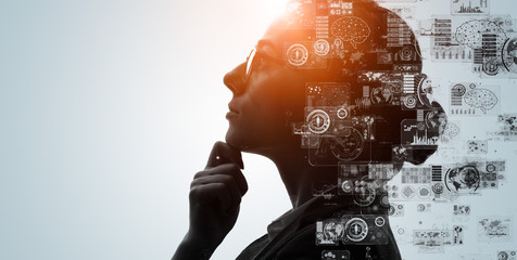 竹子什么时候种植？