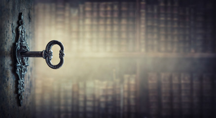 卡罗拉双擎十大忠告