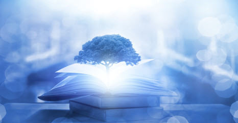 小高层是什么意思-