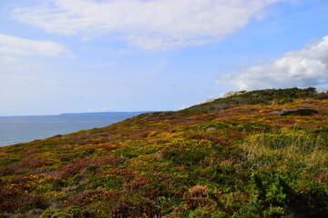 车轮胎侧面刮伤了还能补吗