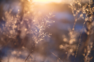小高层是什么意思-