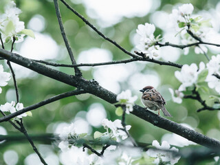 信宜的建置沿革