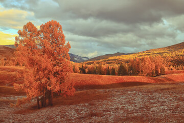 外贸跟单员需要有什么常识？