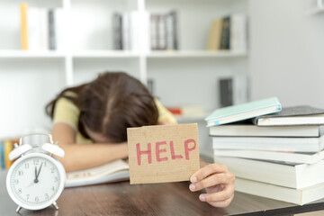 德国芝浦和德力西哪个好