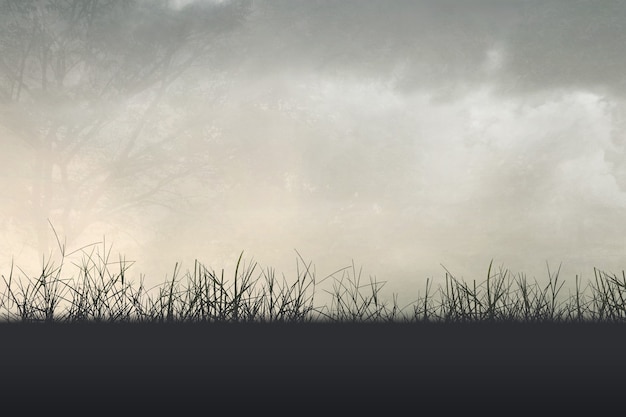 黄瓜花打顶是什么原因导致的？