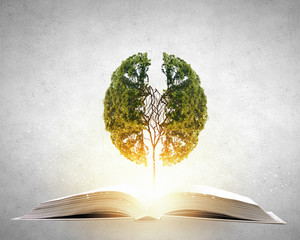 公众号起什么作用