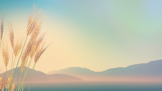 康明斯nt855气门怎么对？