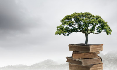 淝水之战的故事概括