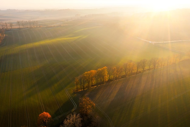 保险杠在哪个位置